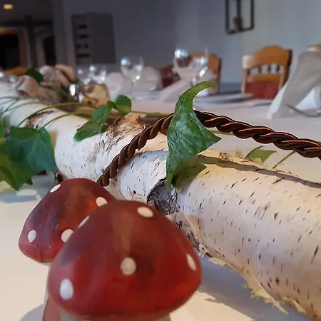 Schulze - Ihr Hundefreundliches Im Harz Hotel