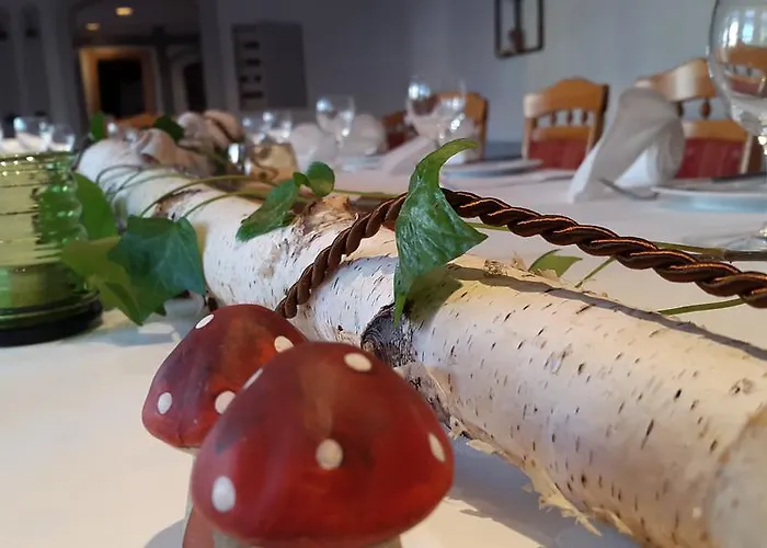 Schulze - Ihr Hundefreundliches Im Harz Hotel